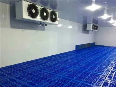 2025 10 Première usine de chambres froides en Chine