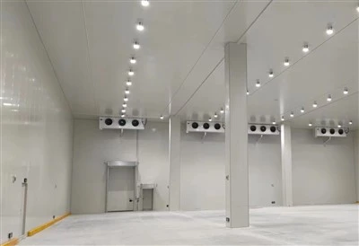Quels systèmes de filtration d’air conviennent pour une chambre froide ?